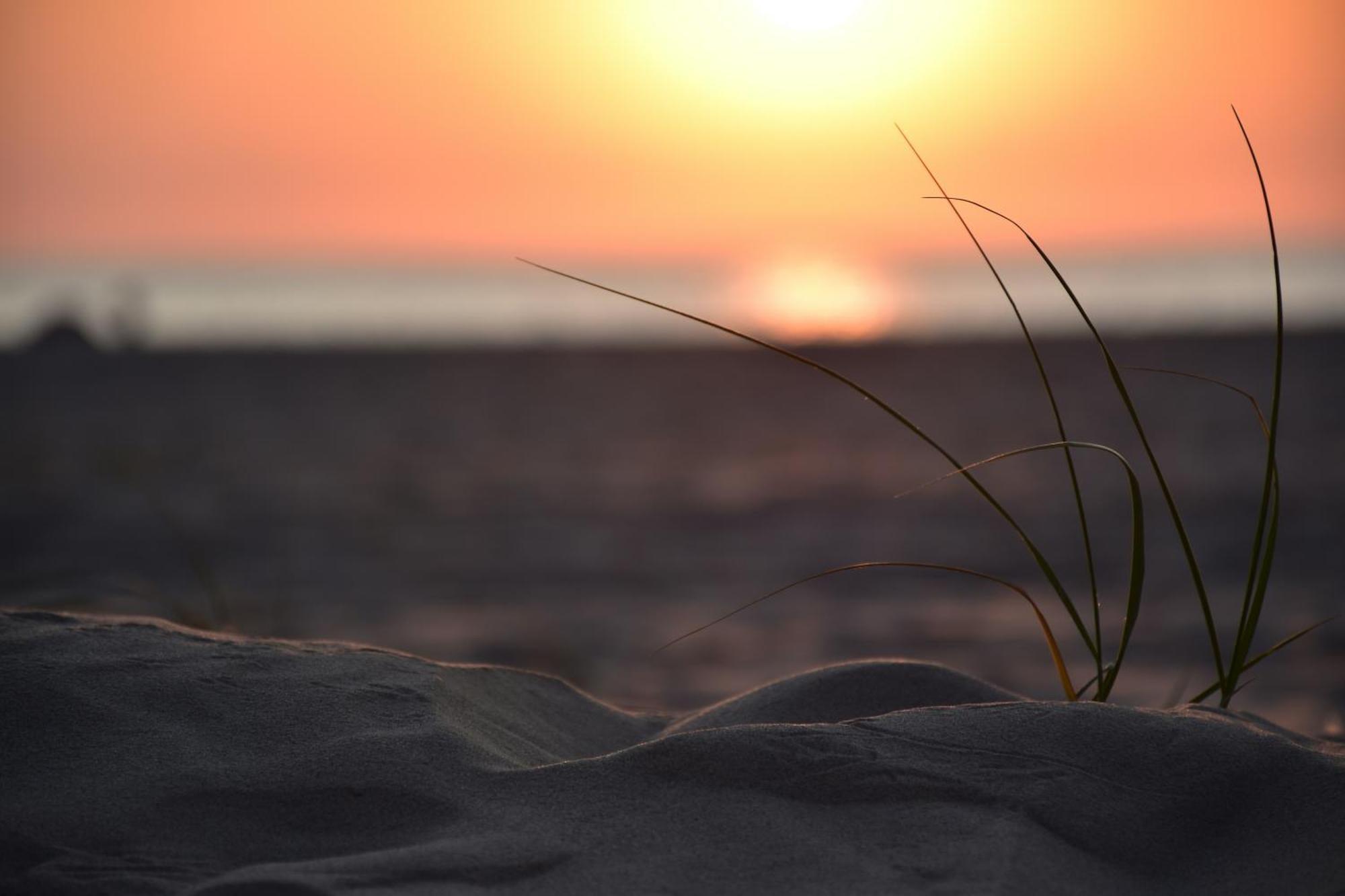 Apartmán Duinerei Penthouse B302 Callantsoog Exteriér fotografie